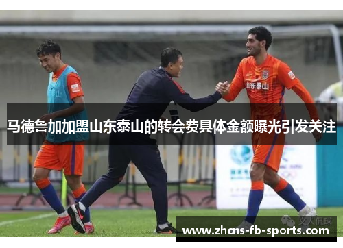 马德鲁加加盟山东泰山的转会费具体金额曝光引发关注
