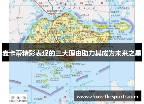 麦卡蒂精彩表现的三大理由助力其成为未来之星