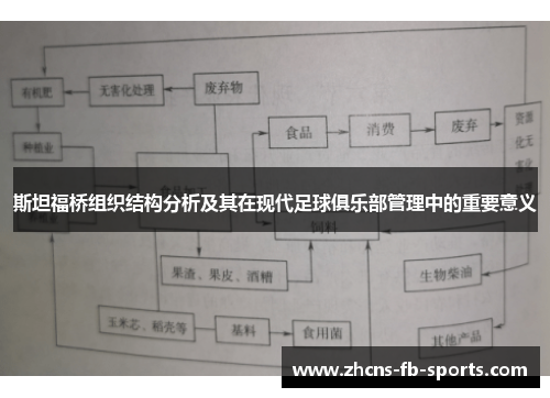 斯坦福桥组织结构分析及其在现代足球俱乐部管理中的重要意义