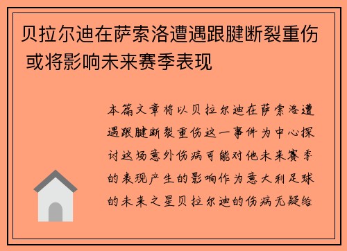 贝拉尔迪在萨索洛遭遇跟腱断裂重伤 或将影响未来赛季表现 贝拉尔迪在萨索洛遭遇跟腱断裂重伤 或将影响未来赛季表现